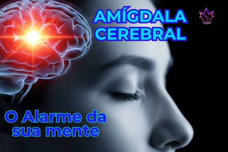 Ilustração explicando o que é amígdala cerebral, mostrando o "alarme" do medo no cérebro de uma pessoa calma.